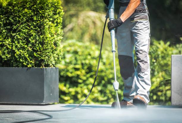 Best Fence Cleaning and Maintenance in Lithia Springs, GA